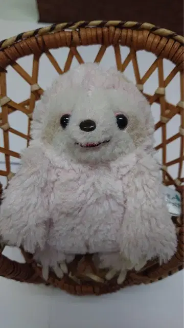 나무늘보 찾기 봉제 인형 모모코