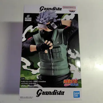 NARUTO 하타케 카카시 피규어