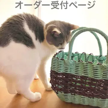 오더, 상담 페이지