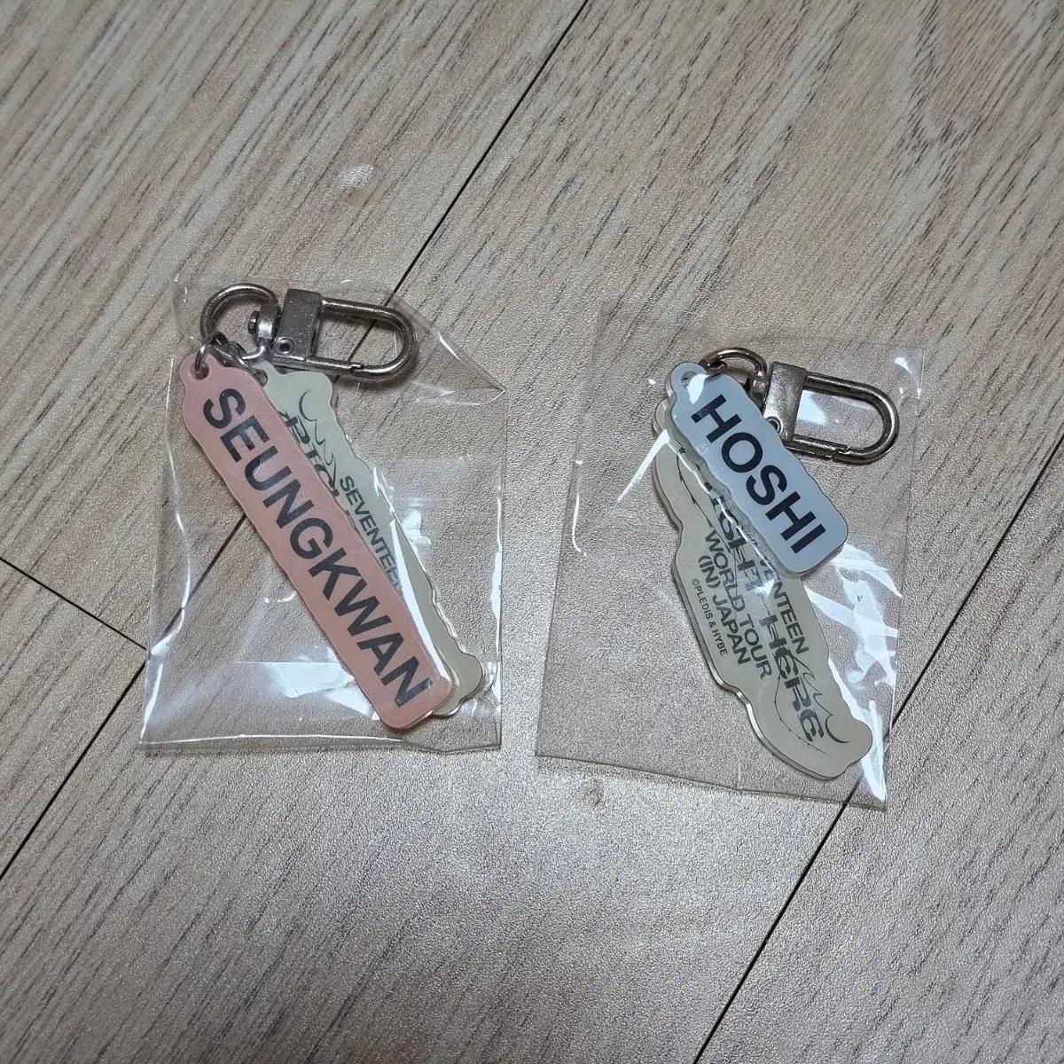 Seventeen Right Here Japan Concert Seungkwan, Hoshi keyring