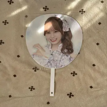 이코라부 절대 아이돌 그만두지 마 부채 오바 하나