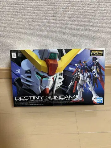 RG 데스티니 건담