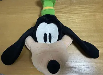 구피 머리띠