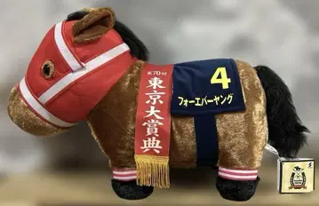 서러브레드 컬렉션 후와후와 BIG 포에버 영