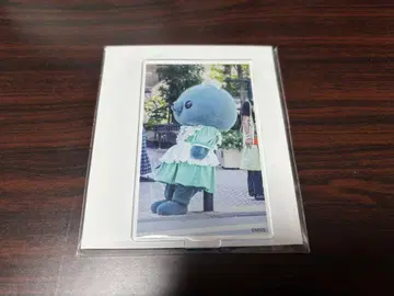 교육 방송 타마 호메호메 카페 메이드 아크릴 스탠드 아크스타