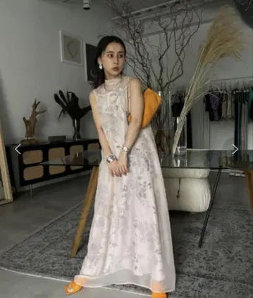 Ameri 2WAY FLOWER LAYERED SHEER DRESS