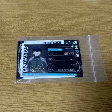 괴수8호 시크릿 프로필 카드 키링 호시나 소우시로