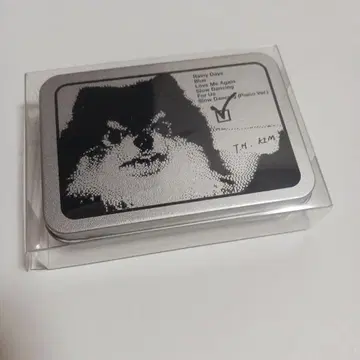 BTS V TIN CASE