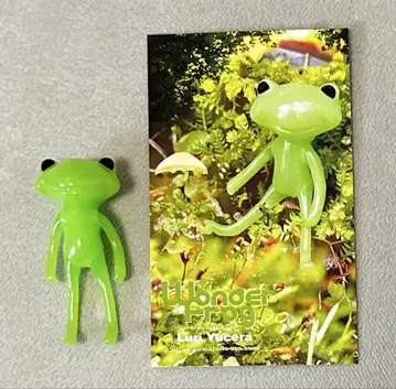 Wonderfrog 포춘 원더 류류세라