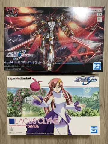 BLACK KNIGHT SQUAD Care.A & LACUS CLYNE