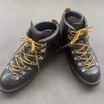 DANNER 마운틴 라이트 30866 GORE-TEX