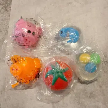스퀴즈 수계