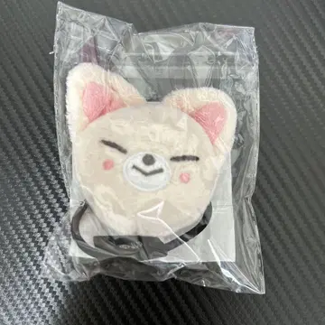 Stray Kids 폭시니 SKZOO