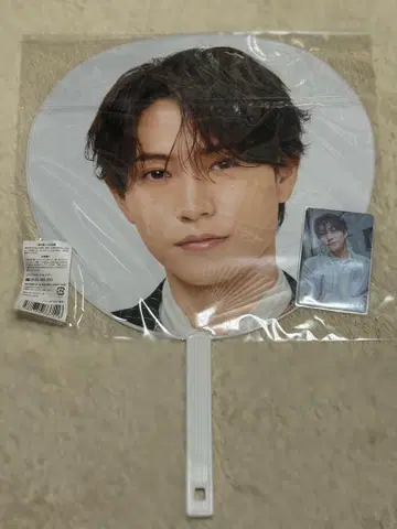 timelesz 하시모토 쇼세이 부채