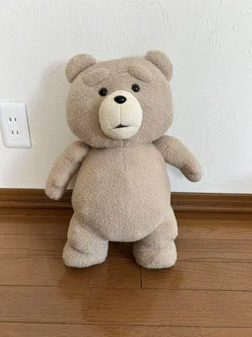 테드 봉제 인형 M