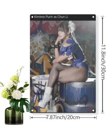 Chun Li 포스터 Kimimo Purin 스틸 패널