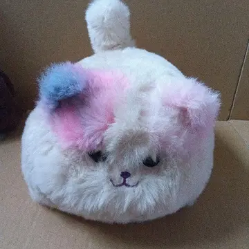 냥이다 너는!?