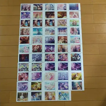 프로세카  묶음 판매