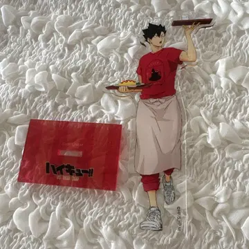 하이큐!! 네코마 쿠로오 테츠로