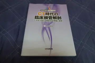 CT 시대의 임상 근관 해부