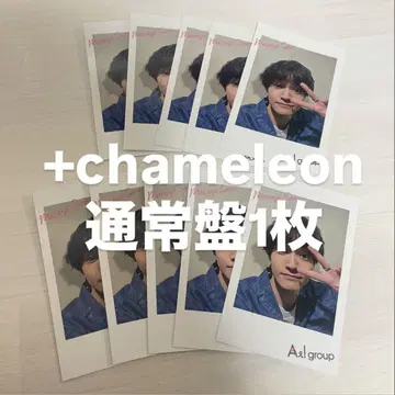 A! group Chameleon 폴라로이드