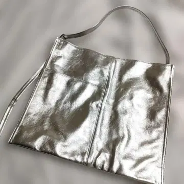 ear PAPILLONNER 넙적 원핸들 백 실버