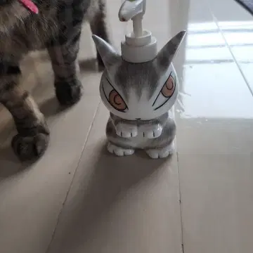 고양이 다얀의 디스펜서