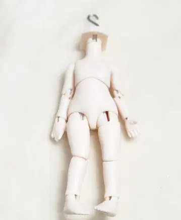페니즈 박스 앙틸 목우국 바디