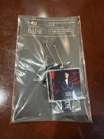 KOICHI DOMOTO RAISE CD 참 도모토 코이치 DOMOTO