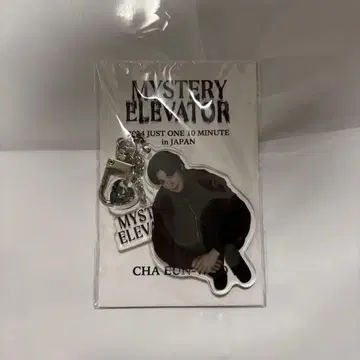 차은우 미스터리 엘리베이터 키링