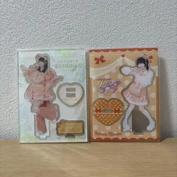 이기가리 도호쿠산 벚꽃 히나노 아크릴 스탠드