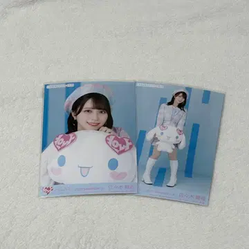 이코러브 시나몬 브로마이드 사사키