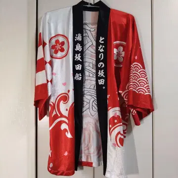 우라시마사카타센 사카타 하피