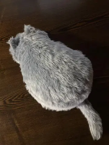 MeowEver 그레이 봉제 인형