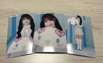 오토시마 리사 시나몬 콜라보 브로마이드 컴프