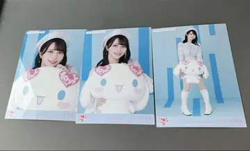 이코럽 사사키 마이카 브로마이드 시나모롤 콜라보 2025