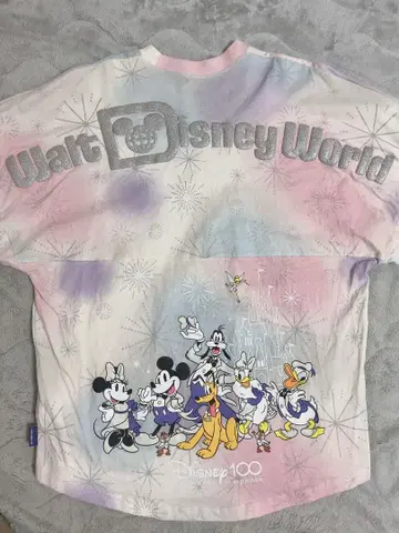 WDW 디즈니 스피릿 저지 100주년 풀오버
