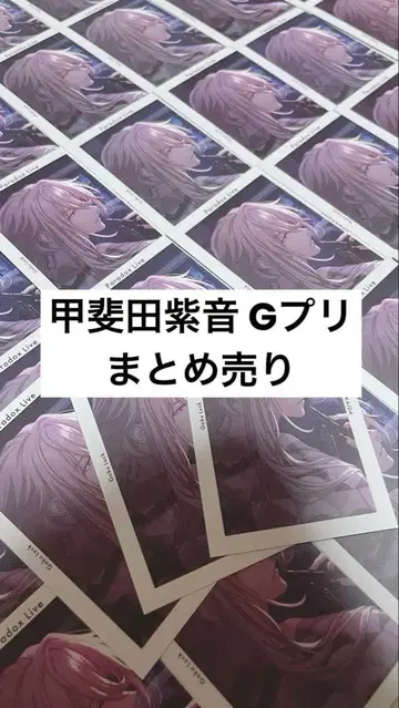 카이다 시온 G프리 묶음 판매