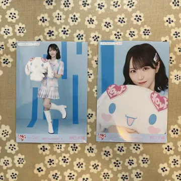 =LOVE 이코러브 노구치 이오리 브로마이드 시나몬 세미컴프