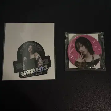 aespa 랜덤 토이 카리나 윈터