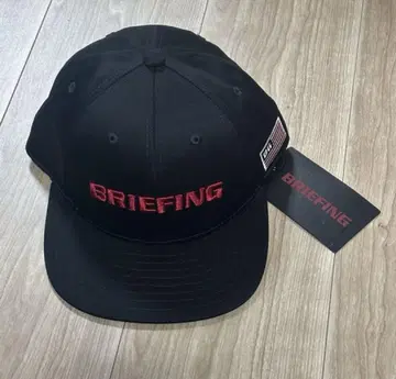 미사용 BRIEFING 캡