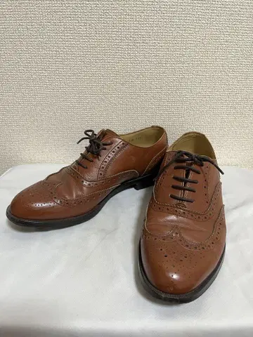 REGAL 브라운 윙팁 24.5cm