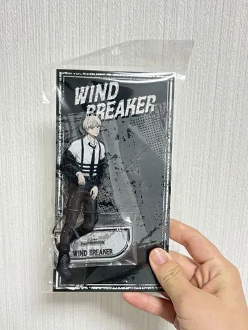 WIND BREAKER 아크릴 스탠드 카지 렌