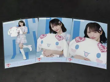 =LOVE 이코라부 생사진 시나모롤 콜라보 2025 노구치 이오리 컴프