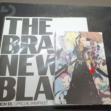 BLEACH 공식 팜플렛 캔버스 아트