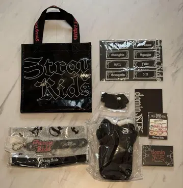 StrayKids domin 업그레이드 세트
