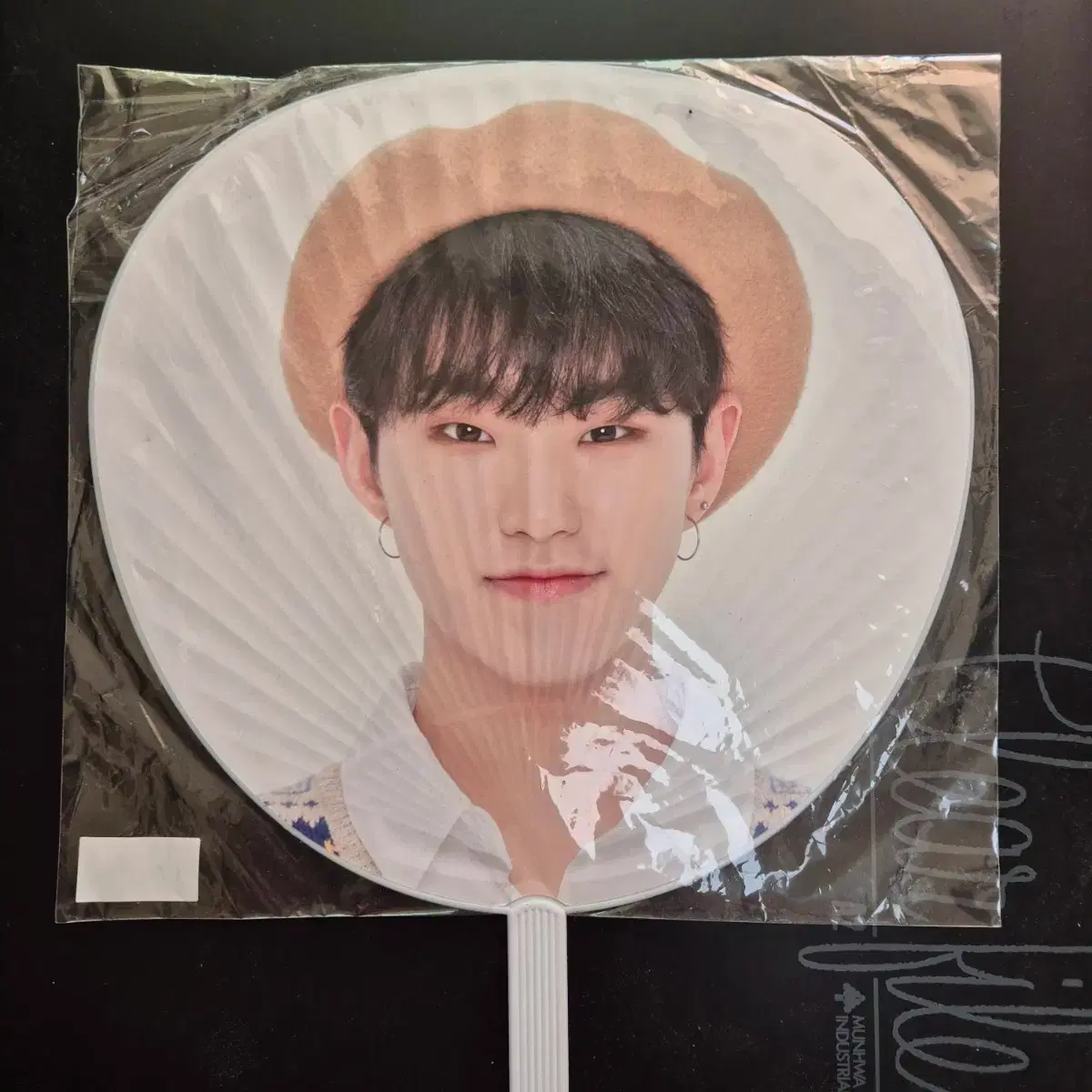 Seventeen Hoshi Wuchiwa Image Picket