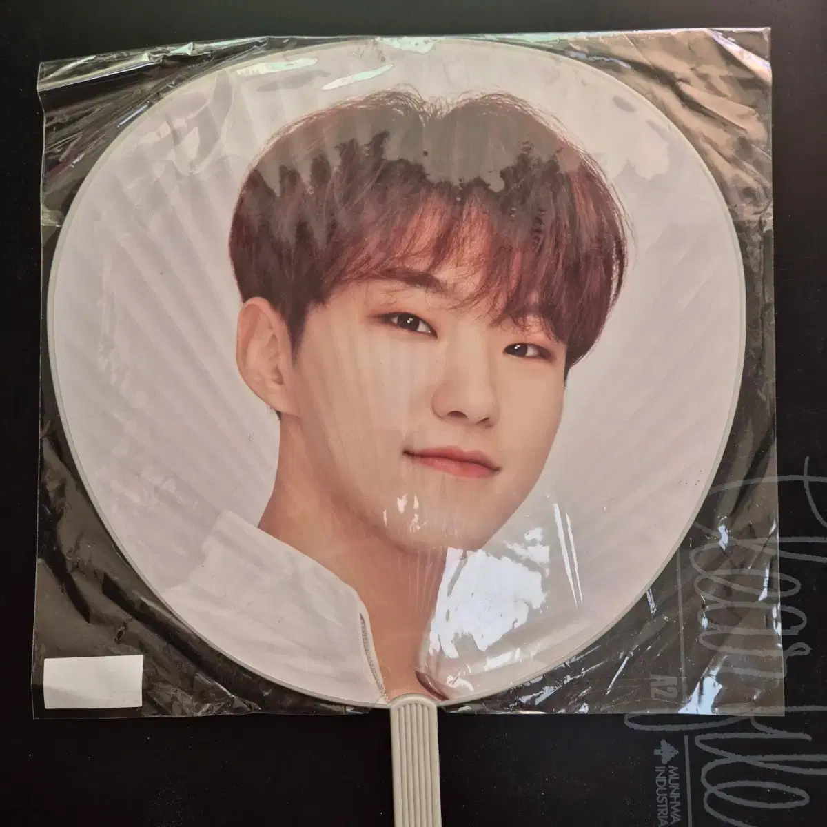 Seventeen Hoshi Wuchiwa Image Picket