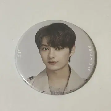 seventeen 준 ode to you 라이브 뷰잉 캔뱃지