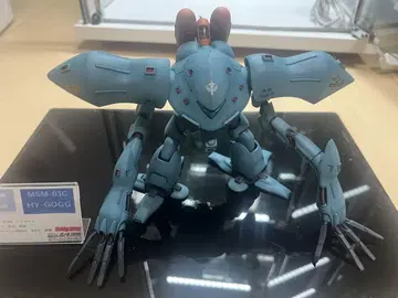 HGUC 하이 고그 완성품